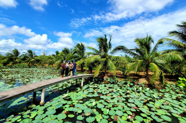 Bến Tre và Saigontourist ký kết hợp tác, thúc đẩy phát triển du lịch