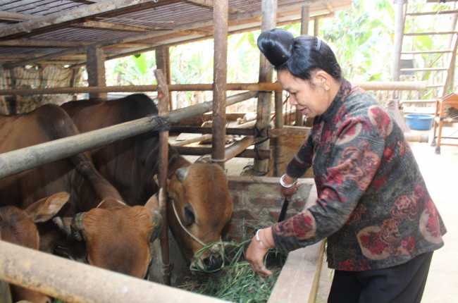 Nông dân Thuận Châu khai thác tiềm năng, lợi thế của địa phương để phát triển kinh tế