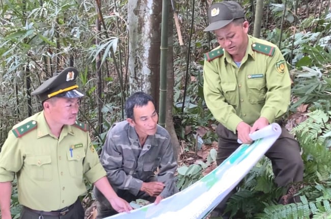 Kiểm lâm Sơn La không ngừng nỗ lực, kiên trì bảo vệ và phát triển rừng