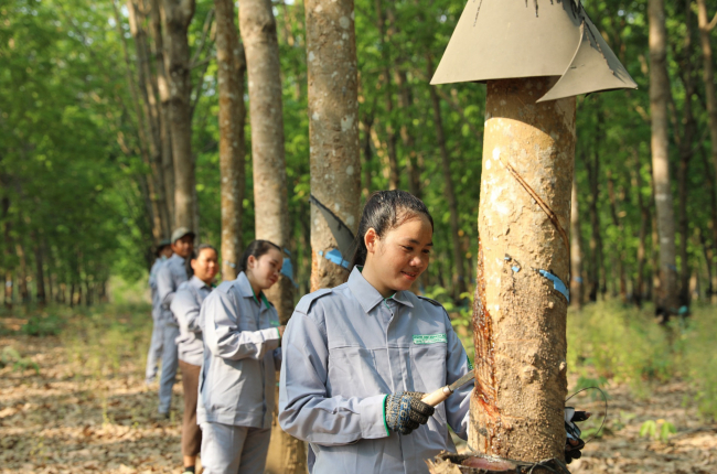 THACO AGRI hướng tới mô hình phát triển nông nghiệp bền vững