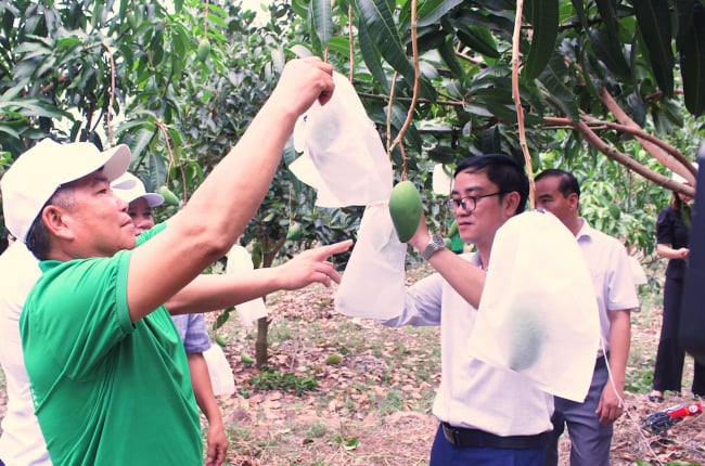 Hội Nông dân tỉnh Sơn La: Đẩy mạnh tư vấn, hỗ trợ, đào tạo nghề cho hội viên