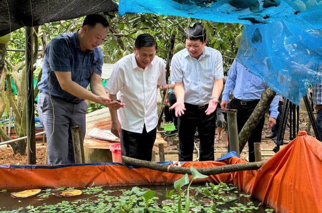 Phó Chủ tịch UBND tỉnh Hòa Bình Đinh Công Sứ khảo sát, nắm tình triển khai thực hiện Đề án 61 