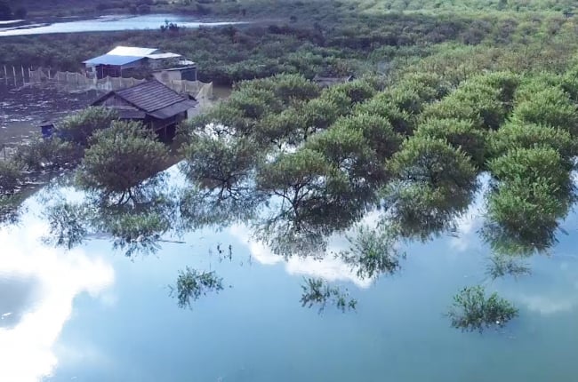 Video: Vùng trồng mận hậu lớn nhất Mộc Châu ngập trong biển nước sau khi bão số 3 đi qua
