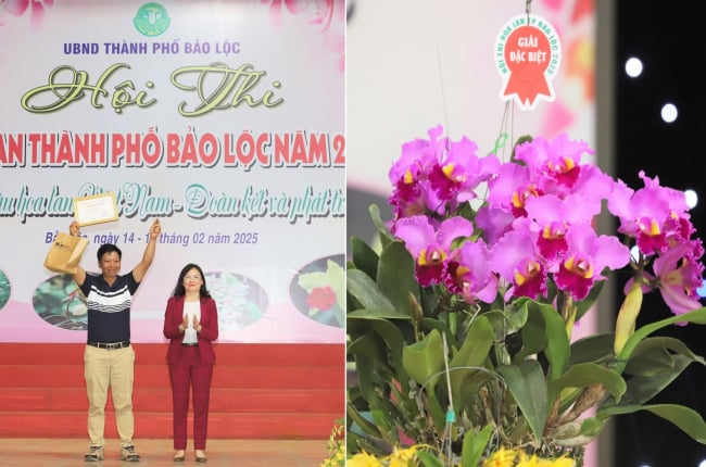 Giải Đặc biệt Hội thi Hoa lan TP. Bảo Lộc mở rộng toàn quốc trao cho chậu lan có tên nước ngoài