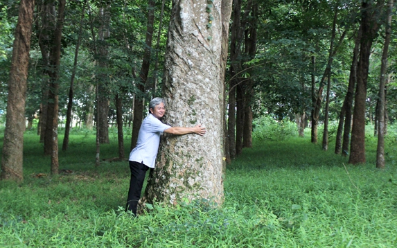 Vì sao Cao su Đồng Nai không nhận tiền và bàn giao mặt bằng dù đã có quyết định thu hồi đất?