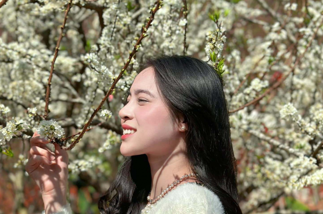 Du khách “mãn nguyện” khi vượt 200km đến Mộc Châu “săn” hoa mai anh đào, hoa mận