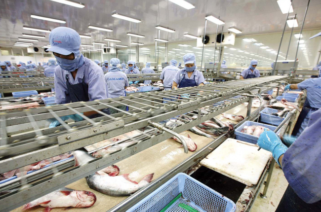Trung Quốc tăng mua cua, mực, các loài nhuyễn thể từ Việt Nam, xuất khẩu thủy sản vụt tăng 18,2%