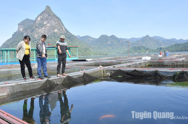'Hốt bạc' trên hồ nhân tạo lớn nhất Tuyên Quang, dân sành ăn Hà Nội đánh cả xe tải lên tìm mua cá gì?