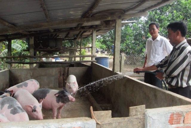 Đà Nẵng: Kiểm tra thực hiện chỉ thị số 05