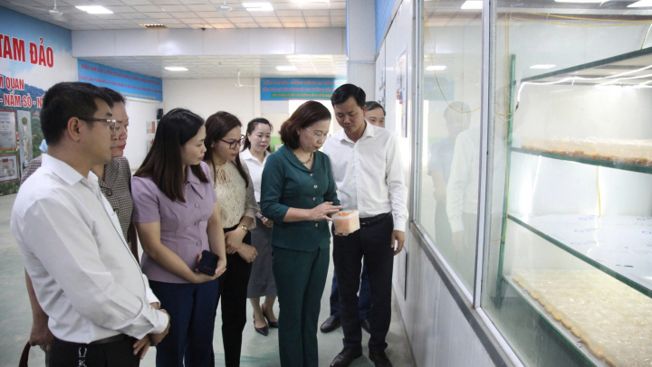 57 trong nông nghiệp: 3 khó khăn của nông dân xuất sắc, HTX khi “đổi mới sáng tạo” (Bài 7)