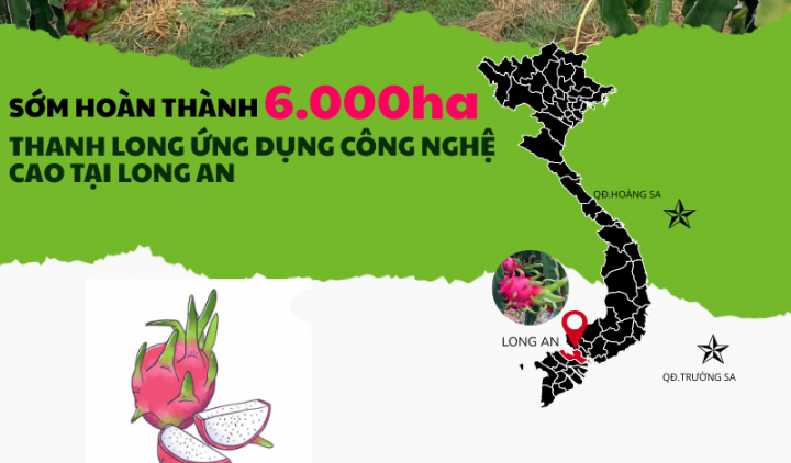 Long An đặt mục tiêu sớm hoàn thành 6.000ha trồng thanh long công nghệ cao