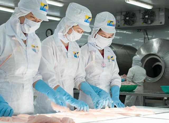 Bắt tay với tỷ phú Trần Bá Dương, HVG của ông Dương Ngọc Minh vẫn chồng chất khó khăn