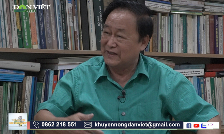 GS Nguyễn Lân Hùng: Việc tỉa cành là một trong những yếu tố quyết định năng suất cây Mắc-ca