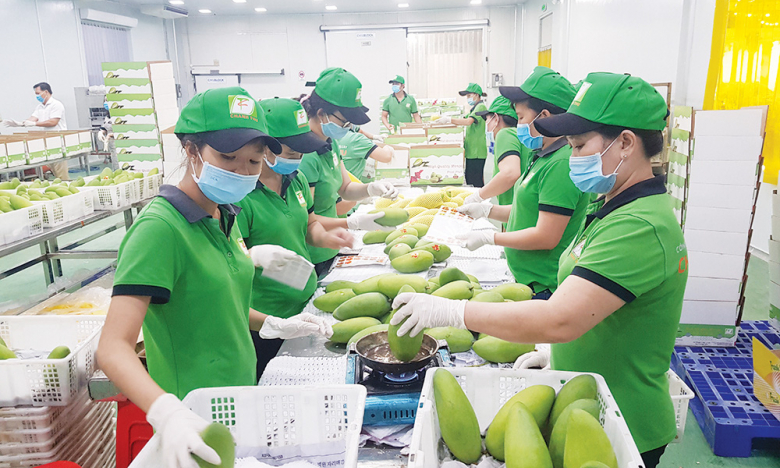 Ứng xử thế nào giữa EVFTA, CPTPP và RCEP?