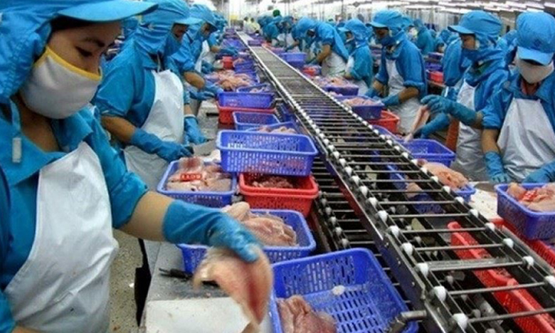 Thuỷ sản Mekong (AAM) thoát lỗ trong quý III/2021 nhờ đầu tư chứng khoán