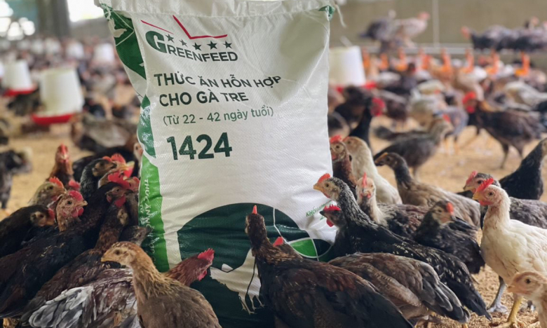 Thức ăn chăn nuôi GREENFEED: Đổi mới không ngừng để hướng tới hiệu quả bền vững
