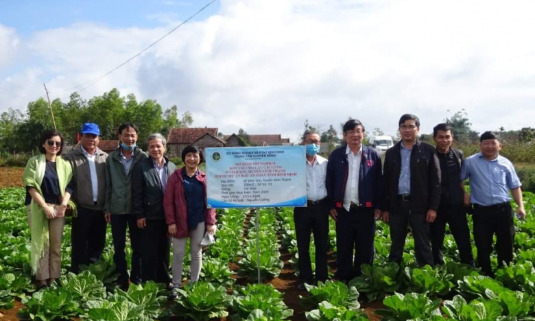 Người Ba Na trồng rau VietGAP