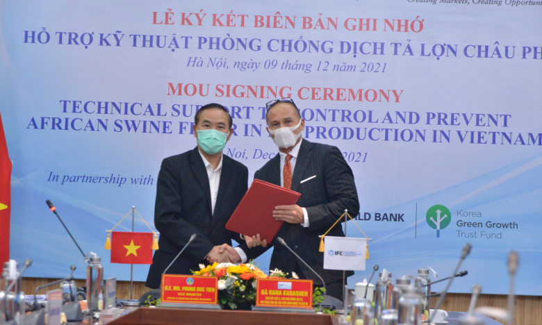 IFC hỗ trợ Việt Nam kỹ thuật phòng, chống loại bệnh nguy hiểm nhất trên đàn lợn hiện nay