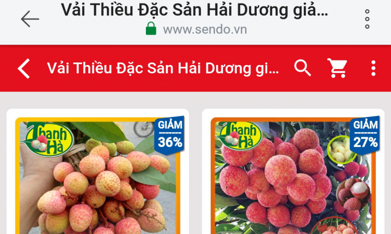 Vải thiều Thanh Hà chính thức lên Sendo, 4 tiếng bán hết veo 3 tấn