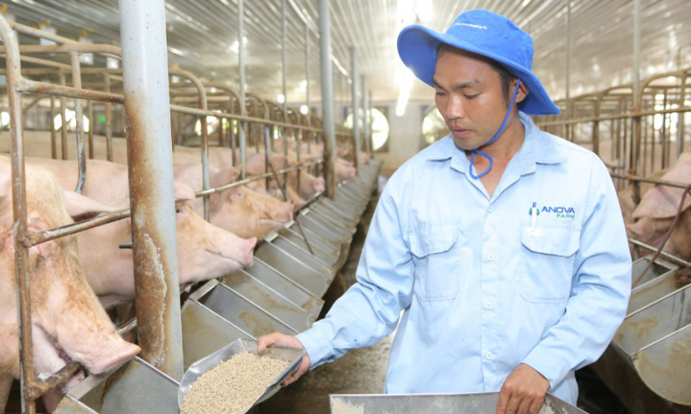 Nova Consumer, doanh nghiệp sắp ‘mở hàng’ IPO năm 2022 có gì hấp dẫn?