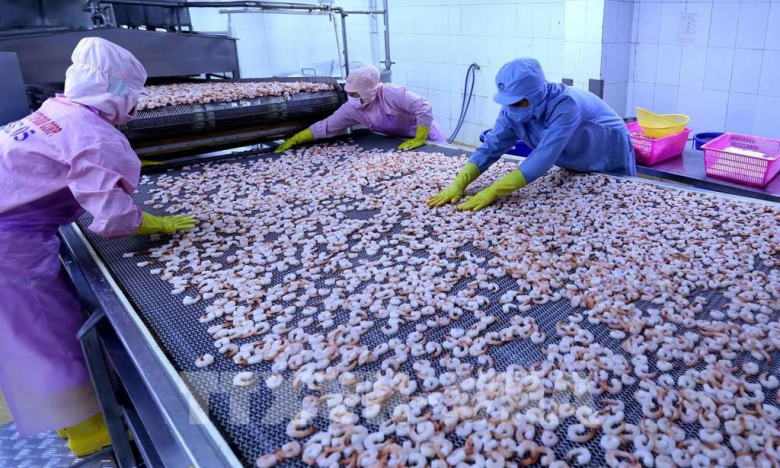 Không có cổ tức từ công ty con kèm cước tàu biển tăng vọt, 'vua tôm' Minh Phú (MPC) báo lãi giảm 11,2%
