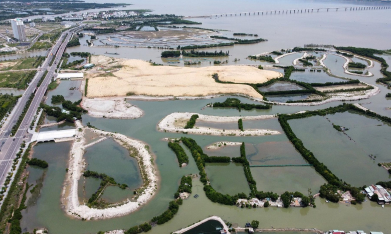 Dự án Thị Nại Eco Bay san ủi rừng ngập mặn nợ 411 tỷ đồng, bị cưỡng chế... nhưng tài khoản hết tiền