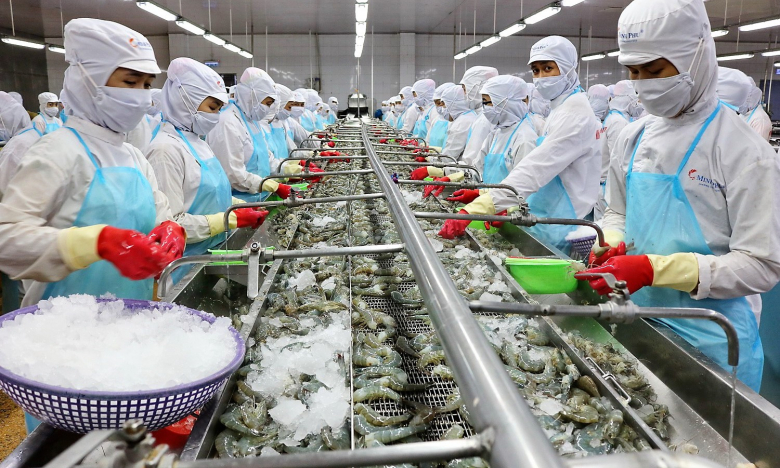 Thủy sản Minh Phú (MPC) mẹ: Quý III/2022 lãi giảm gần 15% so với cùng kỳ