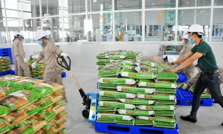 Thời vụ bị đẩy lùi do thời tiết, quý III/2022 Vinaseed (NSC) báo lãi giảm mạnh