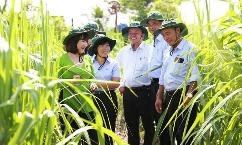 Nữ hoàng mía đường Huỳnh Bích Ngọc: SBT sẽ dồn lực cho thương mại dịch vụ - xuất nhập khẩu