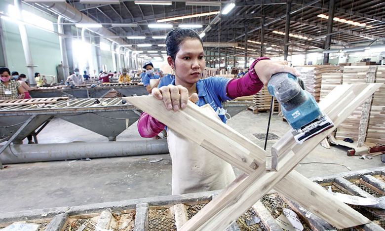 9 tháng Gỗ Trường Thành (TTF) hoàn thành 10% kế hoạch năm