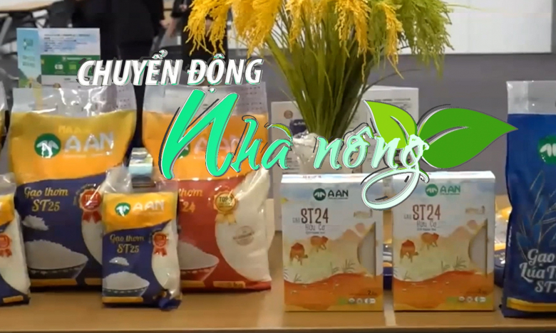 Chuyển động Nhà nông 5/10: Nhãn hiệu gạo ST24 và ST25 của kỹ sư Hồ Quang Cua được bảo vệ tại Australia