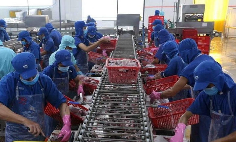 Camimex Group (CMX) sẽ phát hành 300 tỷ đồng trái phiếu với lãi suất 11,2% 
