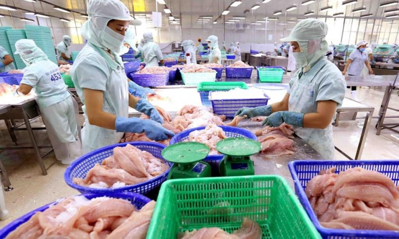 Thủy sản Cửu Long An Giang (ACL) báo lãi quý III gấp 6 lần cùng kì