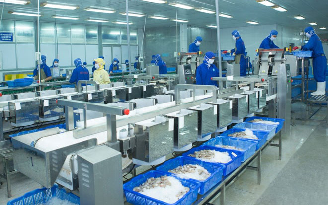 'Hoa hậu' ngành tôm Thủy sản Thuận Phước (THP) đặt mục tiêu năm 2022 đi lùi