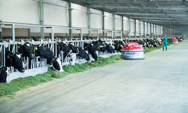 Mua bất thành gần 21 triệu cổ phiếu VNM, F&N Dairy Investments tiếp tục đăng ký mua vào
