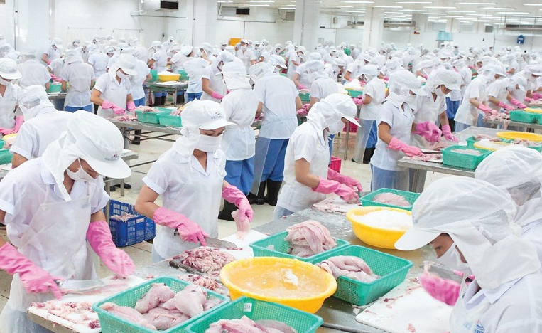 Thủy sản Mekong (AAM) báo lãi kỷ lục 8,8 tỷ đồng trong quý II/2022