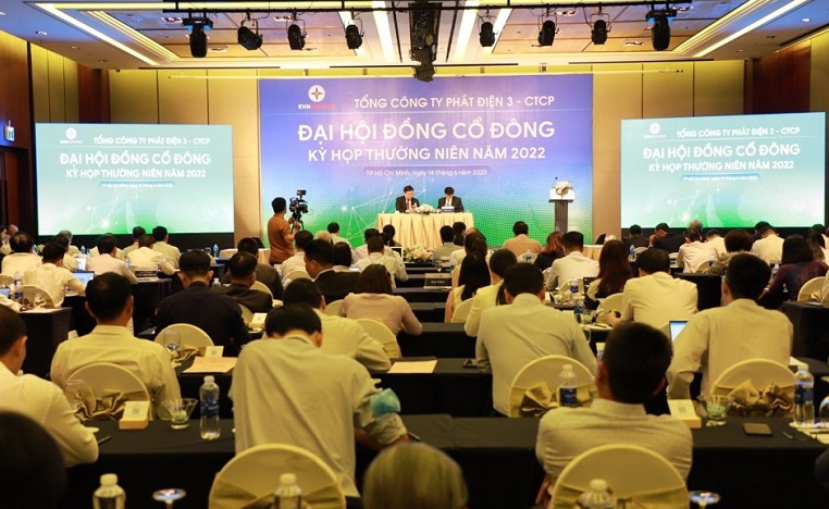 EVNGENCO3: Chốt ngày thanh toán cổ tức 2021 bằng tiền tỷ lệ 13%