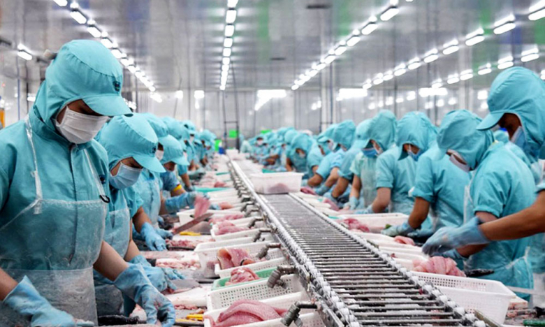 Xuất khẩu cá tra sang các nước CPTPP tăng 123% trong tháng 7