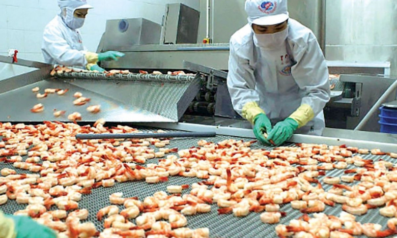 IDI sắp chia cổ tức bằng tiền tỷ lệ 15%