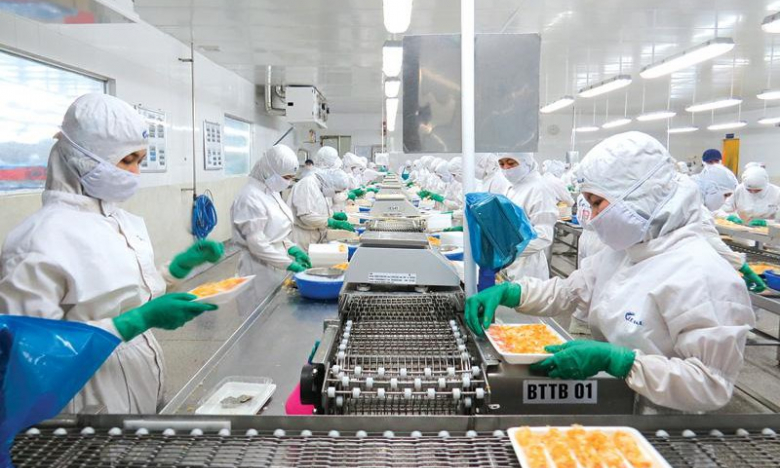 Cổ phiếu của ông lớn ngành tôm - FMC 'tím lịm' khi tình hình kinh doanh khởi sắc