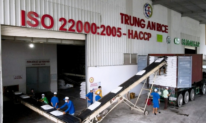 Gạo Trung An (TAR) và Chủ tịch HĐQT Phạm Thái Bình bị xử phạt gần 600 triệu đồng