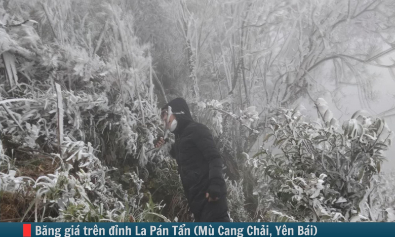 Hình ảnh báo chí 24h: Băng giá xuất hiện trên đỉnh La Pán Tẩn, nhiệt độ xuống cực thấp