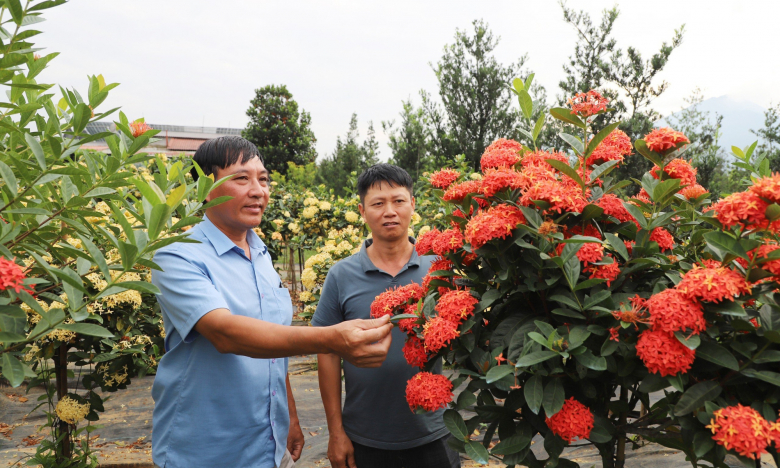 NTM Hà Giang: Phát triển toàn diện, Mỹ Tân hướng tới thôn NTM kiểu mẫu