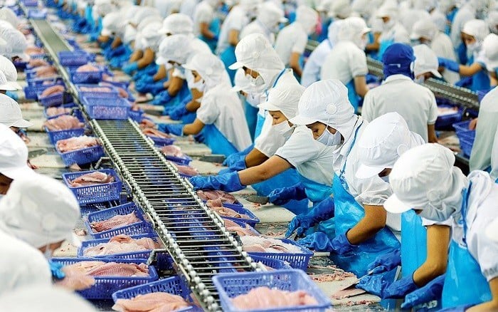 'Vua cá tra' một thời Agifish (AGF) lên kế hoạch lãi 5 tỷ đồng trong năm 2023