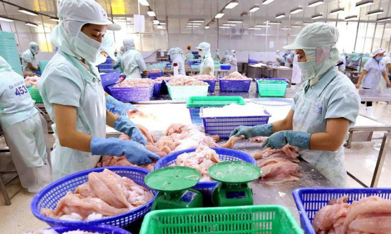 Thủy sản Cửu Long An Giang (ACL) báo lãi 'tụt' 97% còn vỏn vẹn 2 tỷ đồng