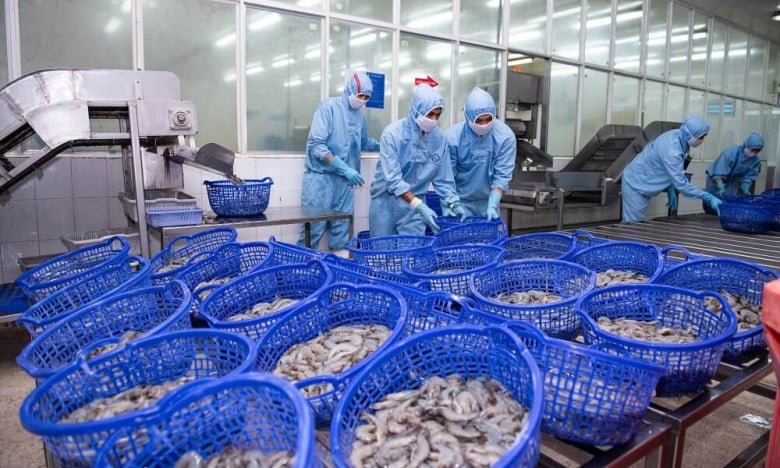 Thực phẩm Sao Ta (FMC) tiết lộ thị trường có tỷ suất lợi nhuận siêu tốt, sẽ dốc toàn lực để phát triển