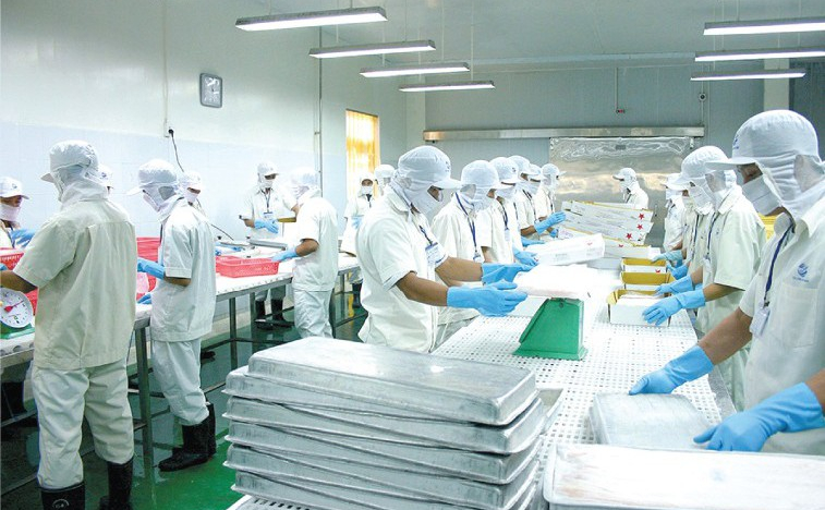 Người nhà Chủ tịch Thủy sản Cửu Long An Giang (ACL) đăng ký thoái toàn bộ vốn