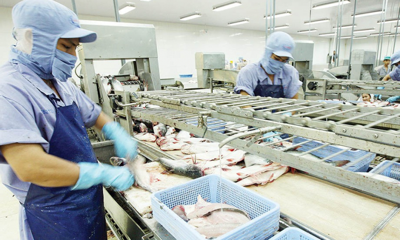Caseamex (CCA) lên mục tiêu lãi giảm 47% xuống 30 tỷ đồng trong năm 2023
