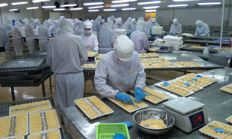 Camimex Group (CMX) lên mục tiêu lãi tăng 13%, đầu tư nuôi tôm công nghệ cao trong năm 2023