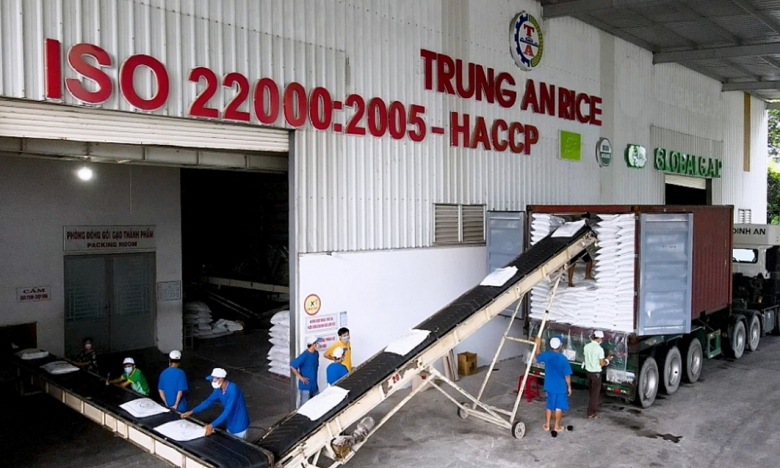 Trung An (TAR) lộ tham vọng lớn về xuất khẩu lúa gạo, muốn chào bán hơn 76 triệu cổ phiếu